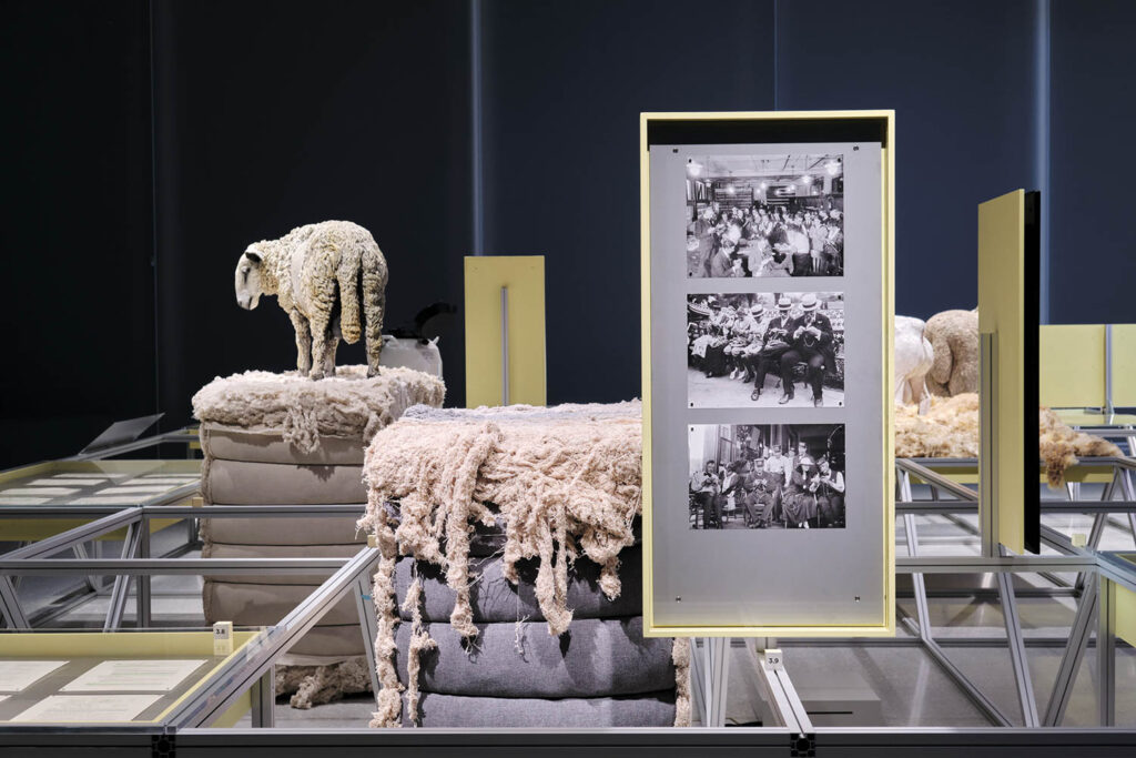 an installation on wool agriculture